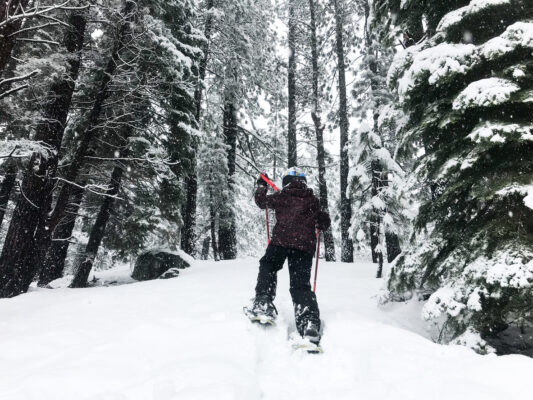 Snowshoes Lake Taheo