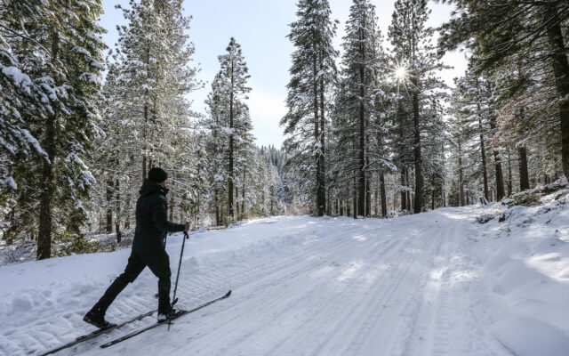 Cross Country Skiing