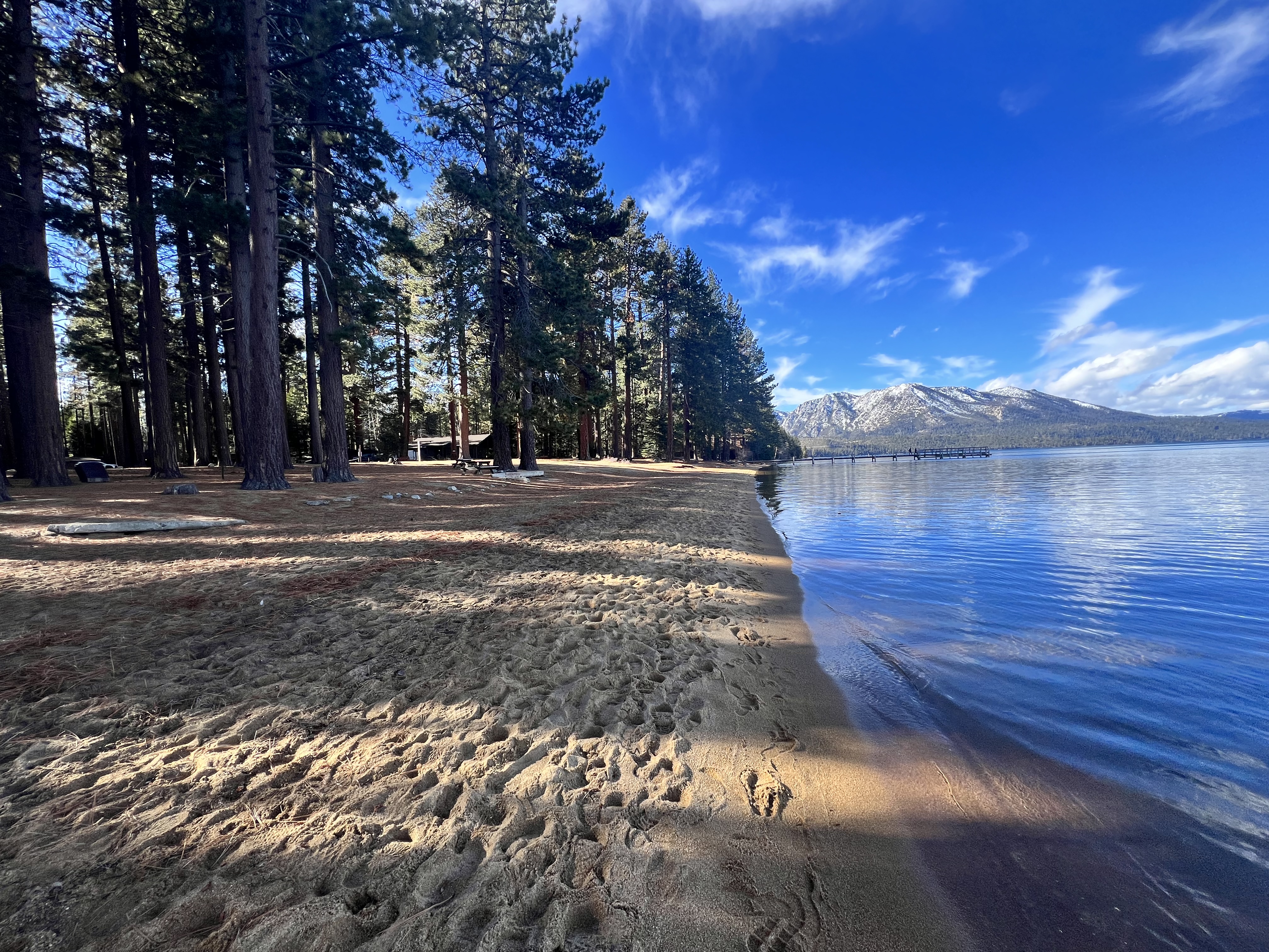 a sandy beach with trees and a lake in front of mountains