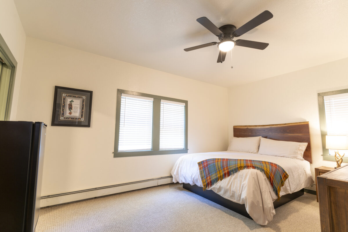 DSC07389 e1717689758576