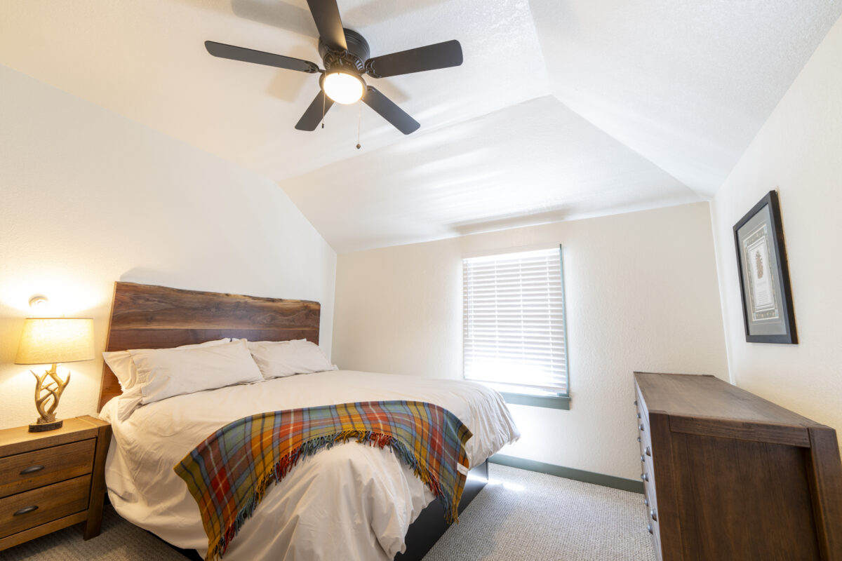 DSC07440 e1717689581765