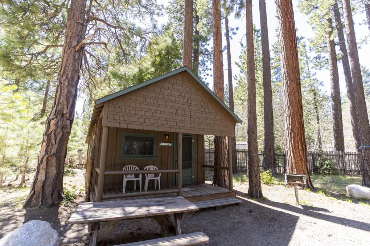 DSC07699 e1717689282471